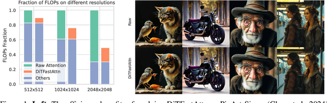 Figure 1 for DiTFastAttn: Attention Compression for Diffusion Transformer Models