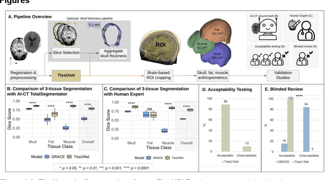 Figure 2 for TissUnet: Improved Extracranial Tissue and Cranium Segmentation for Children through Adulthood