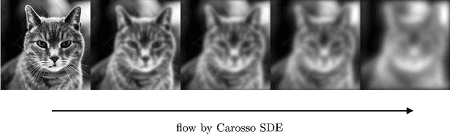 Figure 2 for Renormalizing Diffusion Models