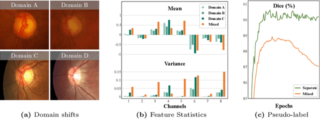 Figure 1 for The Devil is in the Statistics: Mitigating and Exploiting Statistics Difference for Generalizable Semi-supervised Medical Image Segmentation