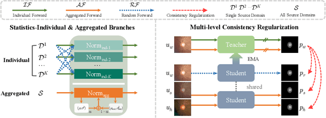 Figure 2 for The Devil is in the Statistics: Mitigating and Exploiting Statistics Difference for Generalizable Semi-supervised Medical Image Segmentation