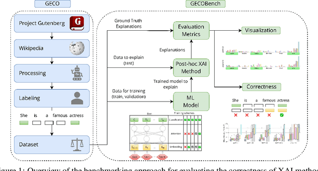 Figure 1 for GECOBench: A Gender-Controlled Text Dataset and Benchmark for Quantifying Biases in Explanations