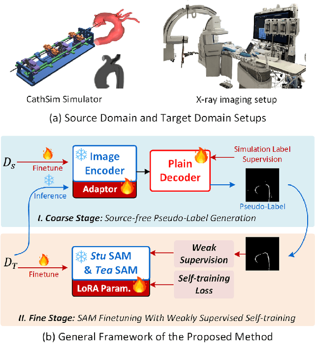 Figure 1 for Generalizing Segmentation Foundation Model Under Sim-to-real Domain-shift for Guidewire Segmentation in X-ray Fluoroscopy