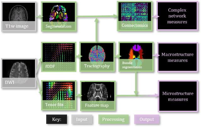 Figure 3 for MICCAI-CDMRI 2023 QuantConn Challenge Findings on Achieving Robust Quantitative Connectivity through Harmonized Preprocessing of Diffusion MRI