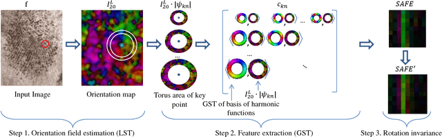 Figure 1 for Keypoint Description by Symmetry Assessment -- Applications in Biometrics