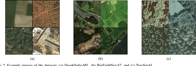 Figure 2 for A Label Propagation Strategy for CutMix in Multi-Label Remote Sensing Image Classification