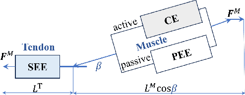 Figure 2 for Uncovering the Secrets of Human-Like Movement: A Fresh Perspective on Motion Planning