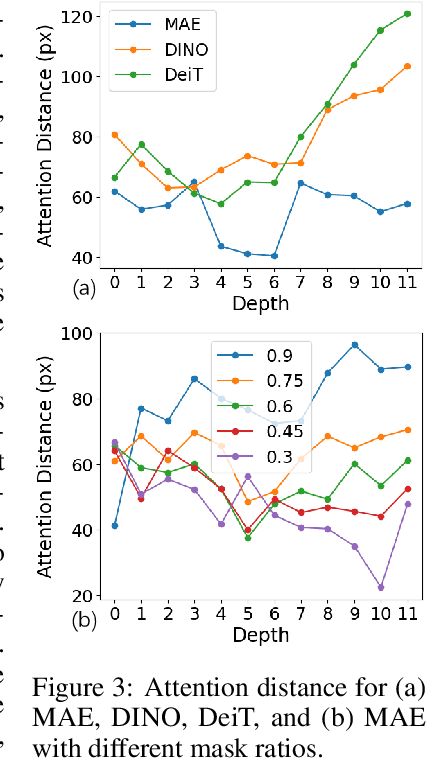 Figure 4 for Understanding Masked Autoencoders From a Local Contrastive Perspective