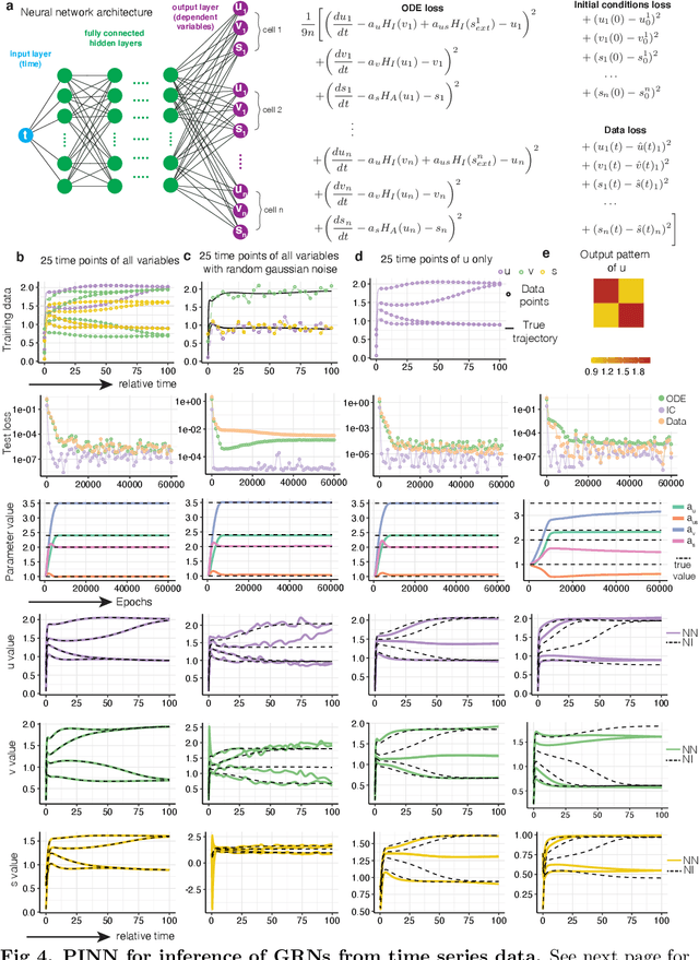Figure 4 for Inference of dynamical gene regulatory networks from single-cell data with physics informed neural networks