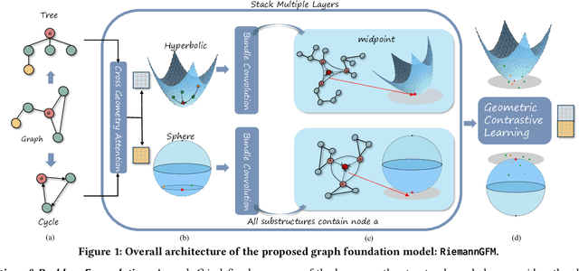 Figure 1 for RiemannGFM: Learning a Graph Foundation Model from Riemannian Geometry