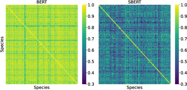 Figure 3 for Exploring Meta Information for Audio-based Zero-shot Bird Classification