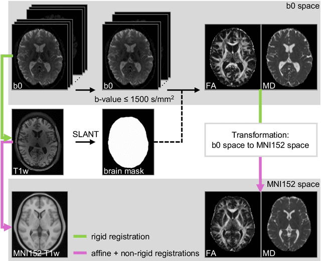 Figure 3 for Brain age identification from diffusion MRI synergistically predicts neurodegenerative disease