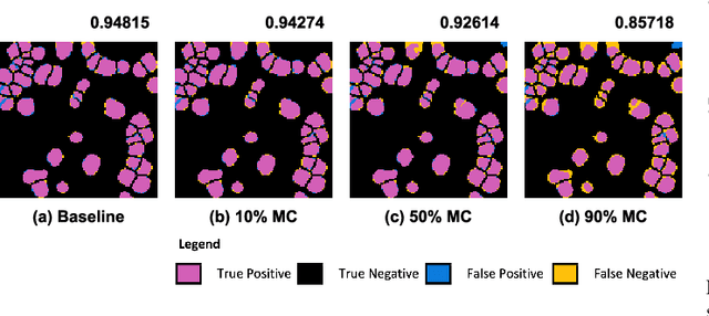 Figure 3 for Pushing the limits of cell segmentation models for imaging mass cytometry