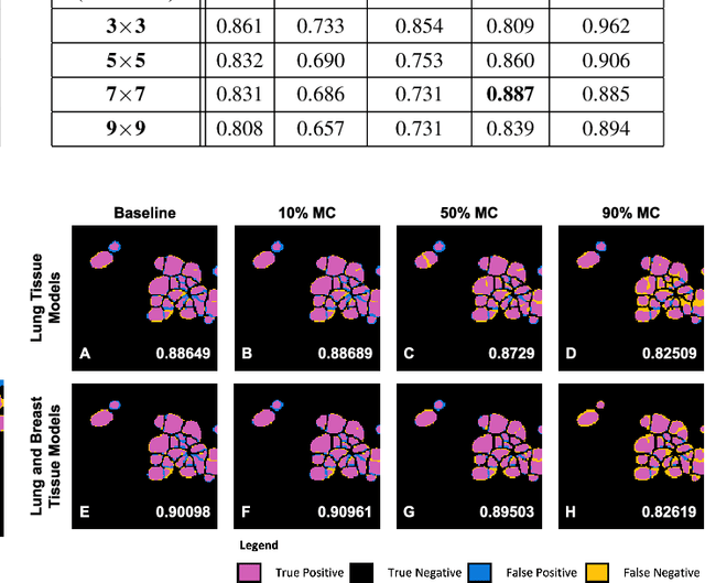 Figure 4 for Pushing the limits of cell segmentation models for imaging mass cytometry