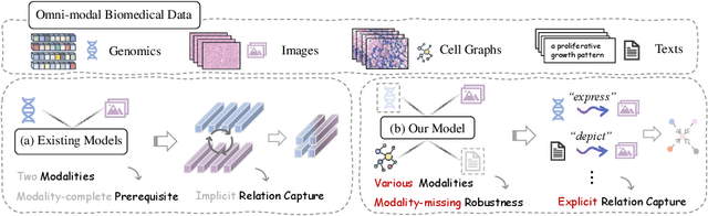 Figure 1 for GTP-4o: Modality-prompted Heterogeneous Graph Learning for Omni-modal Biomedical Representation