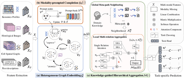 Figure 3 for GTP-4o: Modality-prompted Heterogeneous Graph Learning for Omni-modal Biomedical Representation