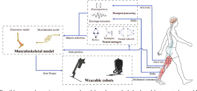 Figure 3 for Neuromuscular Modeling for Locomotion with Wearable Assistive Robots -- A primer