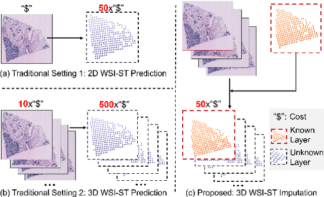 Figure 1 for ASIGN: An Anatomy-aware Spatial Imputation Graphic Network for 3D Spatial Transcriptomics