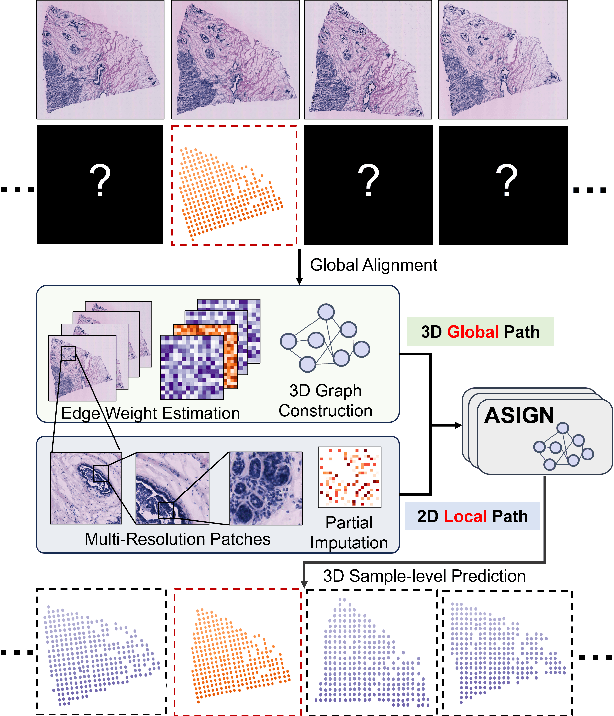 Figure 2 for ASIGN: An Anatomy-aware Spatial Imputation Graphic Network for 3D Spatial Transcriptomics