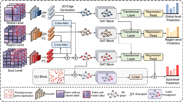 Figure 3 for ASIGN: An Anatomy-aware Spatial Imputation Graphic Network for 3D Spatial Transcriptomics