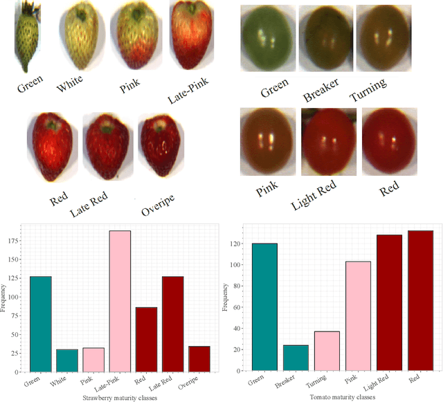 Figure 3 for Dual-band feature selection for maturity classification of specialty crops by hyperspectral imaging