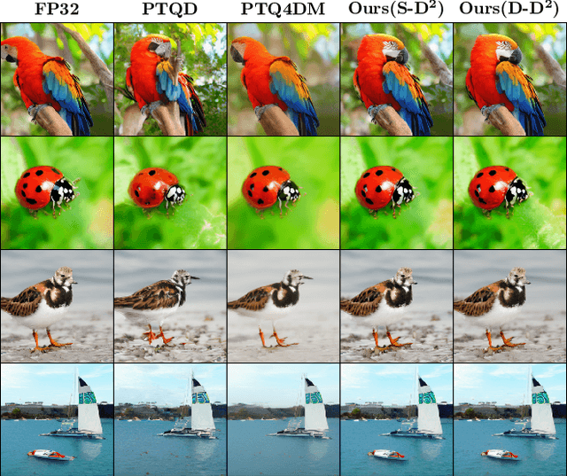 Figure 1 for D$^2$-DPM: Dual Denoising for Quantized Diffusion Probabilistic Models