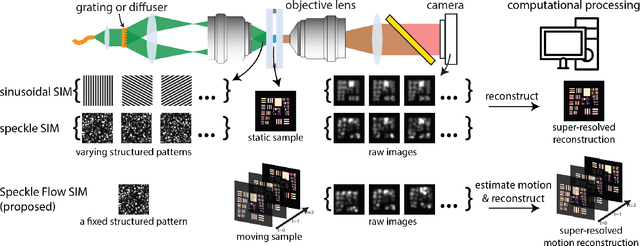 Figure 1 for Sample Motion for Structured Illumination Fluorescence Microscopy