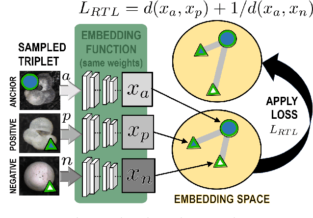 Figure 3 for Deep Visual-Genetic Biometrics for Taxonomic Classification of Rare Species