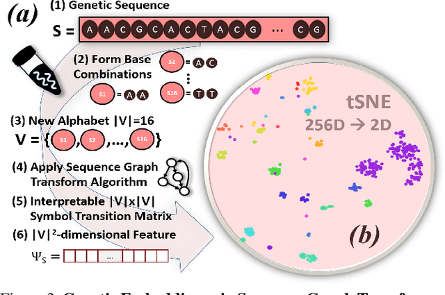 Figure 4 for Deep Visual-Genetic Biometrics for Taxonomic Classification of Rare Species