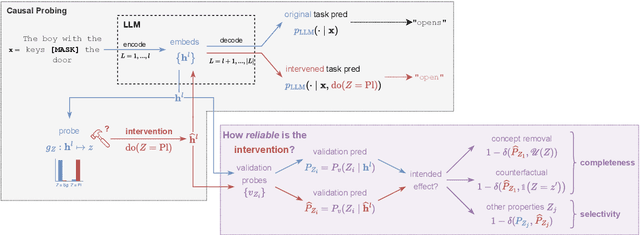 Figure 1 for Measuring the Reliability of Causal Probing Methods: Tradeoffs, Limitations, and the Plight of Nullifying Interventions