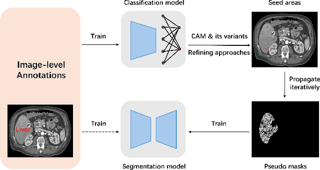 Figure 2 for Beyond Pixel-Wise Supervision for Medical Image Segmentation: From Traditional Models to Foundation Models