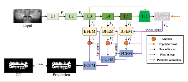 Figure 1 for Boundary feature fusion network for tooth image segmentation