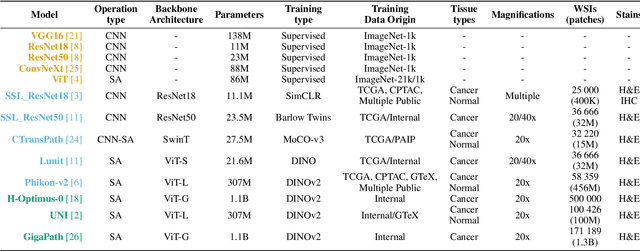 Figure 4 for Going Beyond H&E and Oncology: How Do Histopathology Foundation Models Perform for Multi-stain IHC and Immunology?