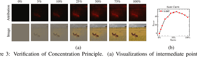 Figure 4 for Path Choice Matters for Clear Attribution in Path Methods