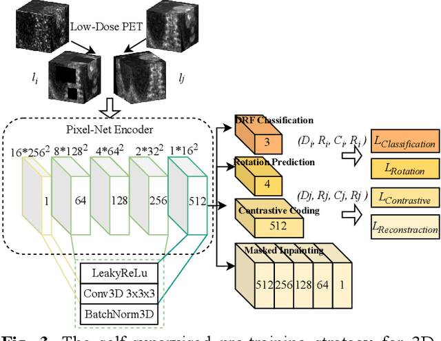 Figure 3 for PET Synthesis via Self-supervised Adaptive Residual Estimation Generative Adversarial Network