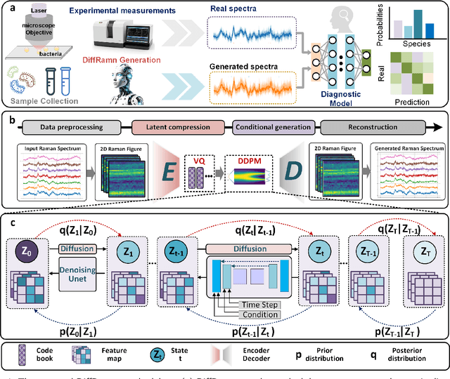 Figure 1 for DiffRaman: A Conditional Latent Denoising Diffusion Probabilistic Model for Bacterial Raman Spectroscopy Identification Under Limited Data Conditions