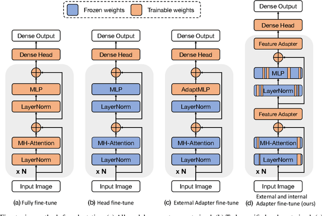 Figure 3 for Selective Feature Adapter for Dense Vision Transformers