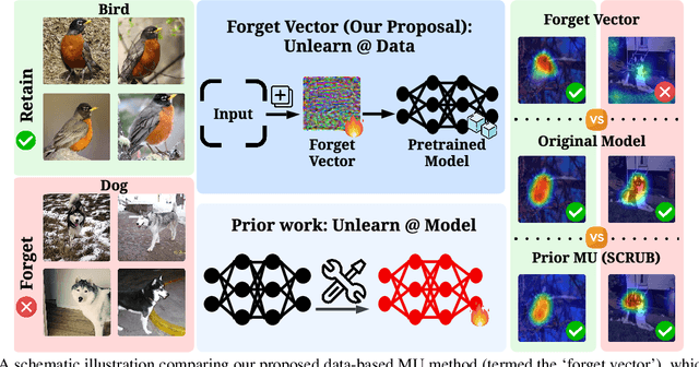 Figure 1 for Forget Vectors at Play: Universal Input Perturbations Driving Machine Unlearning in Image Classification
