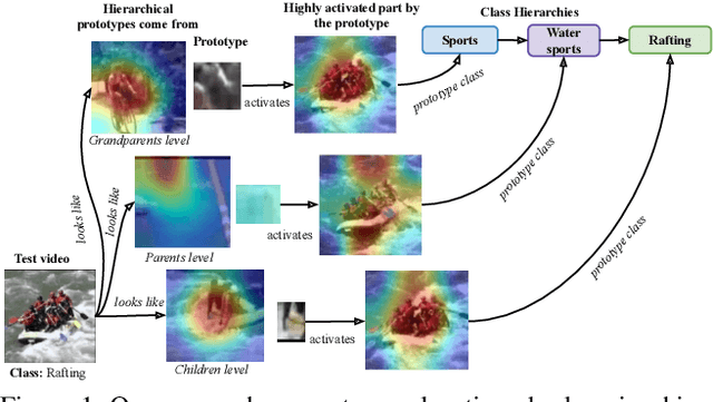 Figure 1 for Hierarchical Explanations for Video Action Recognition