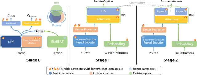 Figure 3 for Structure-Enhanced Protein Instruction Tuning: Towards General-Purpose Protein Understanding