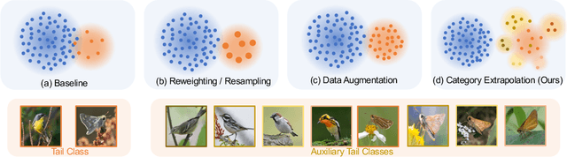 Figure 1 for Granularity Matters in Long-Tail Learning