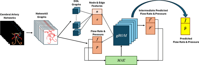 Figure 1 for Graph Neural Network for Cerebral Blood Flow Prediction With Clinical Datasets