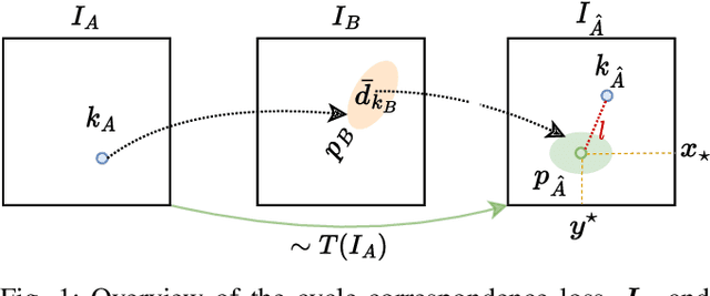 Figure 1 for Cycle-Correspondence Loss: Learning Dense View-Invariant Visual Features from Unlabeled and Unordered RGB Images