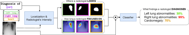 Figure 1 for Decoding Radiologists Intense Focus for Accurate CXR Diagnoses: A Controllable and Interpretable AI System