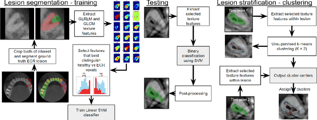 Figure 1 for Automated external cervical resorption segmentation in cone-beam CT using local texture features