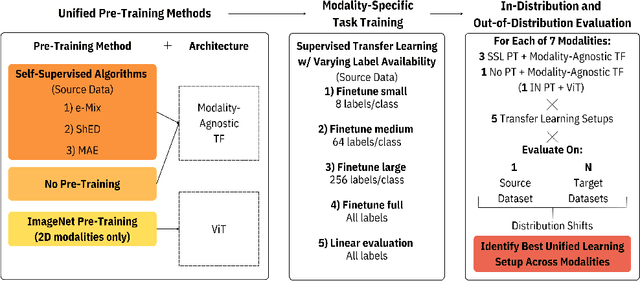 Figure 3 for BenchMD: A Benchmark for Modality-Agnostic Learning on Medical Images and Sensors