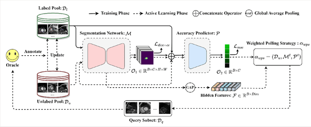 Figure 3 for Predictive Accuracy-Based Active Learning for Medical Image Segmentation