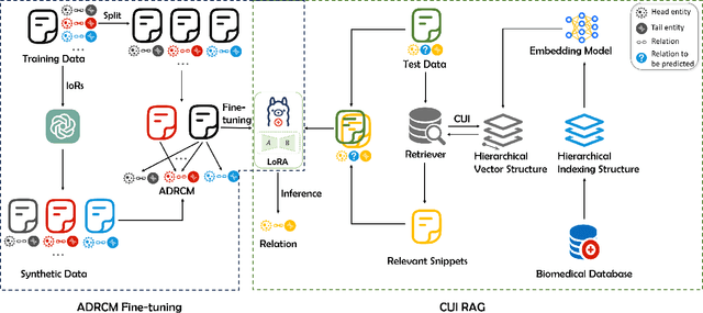 Figure 3 for Biomedical Relation Extraction via Adaptive Document-Relation Cross-Mapping and Concept Unique Identifier