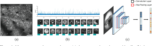 Figure 1 for Incremental Learning and Self-Attention Mechanisms Improve Neural System Identification