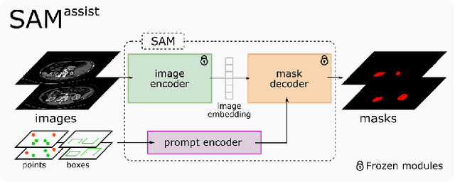 Figure 3 for $\mathrm{SAM^{Med}}$: A medical image annotation framework based on large vision model